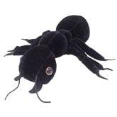 Cockroach
