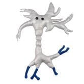 Brain Gigantic 17