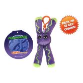 Chromosome Key Chain 12 Pack