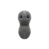 Superbug 6-pack