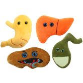 Deluxe Gallbladder with Gallstones