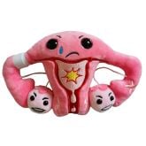 PMS Uterus