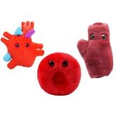 Red Blood Cell (Erythrocyte)