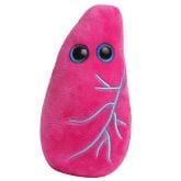 Asthma Key Chain