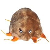 Rabies (Rabies Virus)