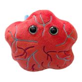 Uterus