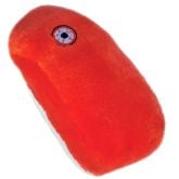 Mange (Sarcoptes scabiei)