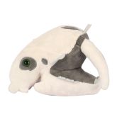 Ground Sloth Skull