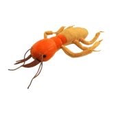 Cockroach