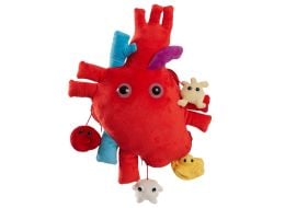 Deluxe Heart with Hidden Cells