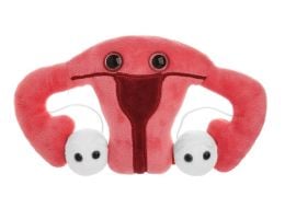 Uterus