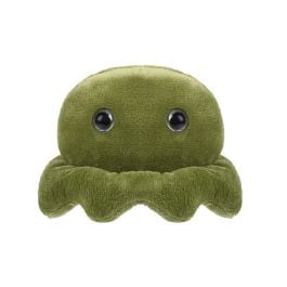 Large Product Image