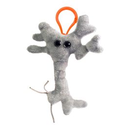 Brain Cell Key Chain by GIANTMICROBES