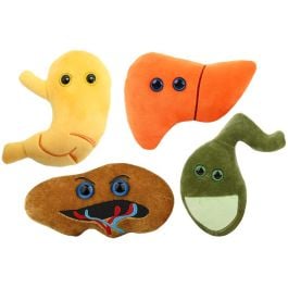 Digestion Deluxe 4-Pack by GIANTMICROBES