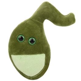Large Product Image