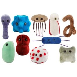 Large Product Image