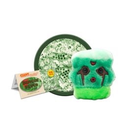 Large Product Image