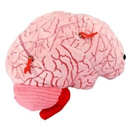 Deluxe Brain - Plush with Hidden Cells | GIANTmicrobes