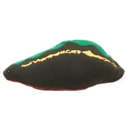 Leech (Hirudo medicinalis) by GIANTMICROBES