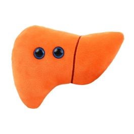 Liver - Essential Organ Plush | GIANTmicrobes