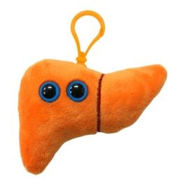 Liver Key Chain - Anatomy Mini Plush | GIANTmicrobes