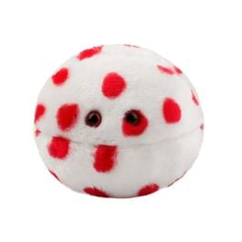 Large Product Image