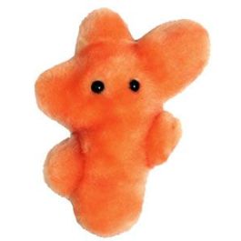 Large Product Image