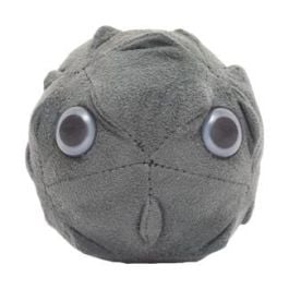 Large Product Image