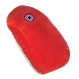 Large Product Image