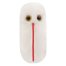 Salmonella (Salmonella typhimurium) by GIANTMICROBES