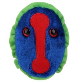 Large Product Image