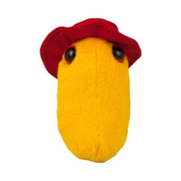Large Product Image