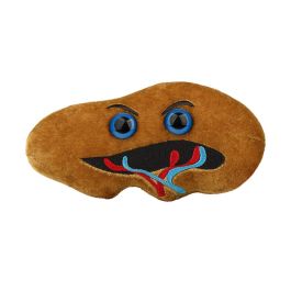 Large Product Image