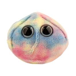 Large Product Image