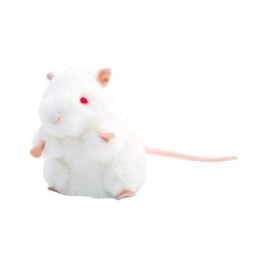 Large Product Image