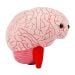 Brain plush angle