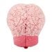 Brain plush back