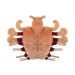 Crab Louse plush bottom