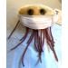 Microbe Mask E. Coli