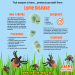 Lyme Disease infographic
