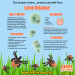 Tick and Lyme infographic