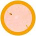 Leishmania microbial