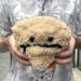 Liver Disease plush in hand