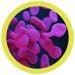 Mycoplasma microbial