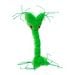 Nerve Cell (Neuron)