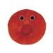 Red Blood Cell (Erythrocyte)