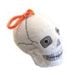 Skull Key Chain