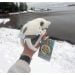 Smilodon skull in snow