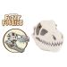 T. rex skull plush cluster