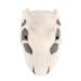 T. rex skull plush top